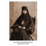 Церковно-историческое значение деятельности священномученика Митрофана (Краснопольского)